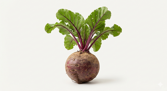 Beetroot
